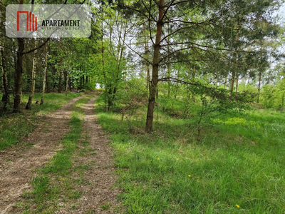 Działki z linią brzegową jeziora - 5