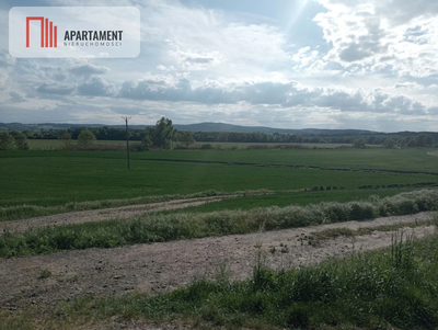 Działka inwestycyjna 2,5 ha - 3