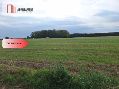 Działka pod inwestycję /Blisko drogi 3 - 4