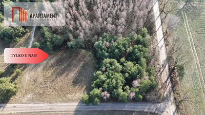 Zadrzewiona działka blisko Zalewu Koronowskiego - 2