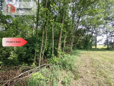 Działka wśród zieleni na granicy Borów Tucholskich