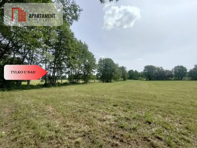 Działka wśród zieleni na granicy Borów Tucholskich - 2