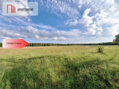 Działka budowlana w okazyjnej cenie! Blisko Piły. - 4