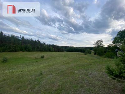 Atrakcyjna Działka Rolna w Nowej Kiszewie! - 2