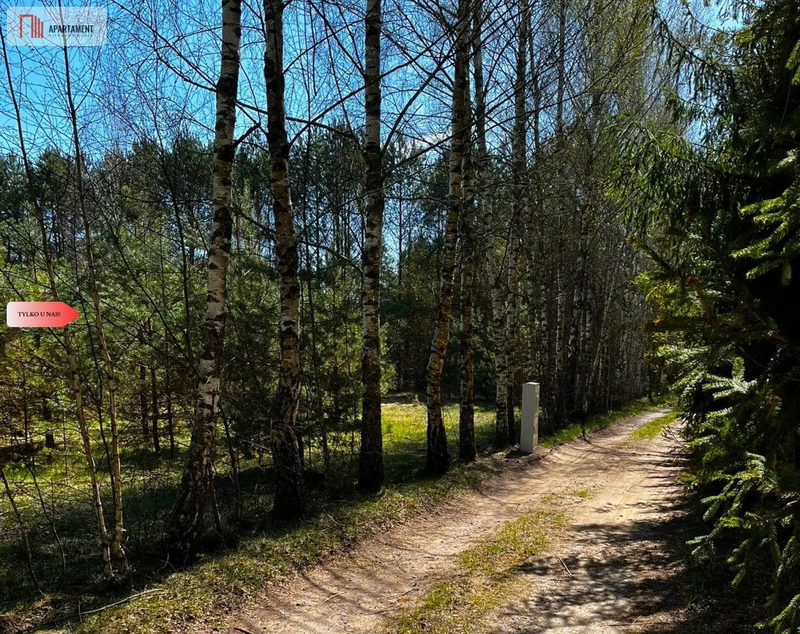 TYLKO U NAS !!! UTULONA CISZĄ W SERCU BORÓW - dd_18eeaa1f_zs_689534_1.jpg