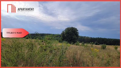 Tylko u nas! Świetna lokalizacja, cisza!