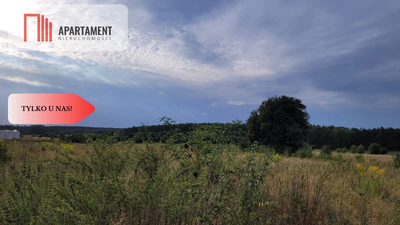 Tylko u nas! Świetna lokalizacja, cisza! - 2
