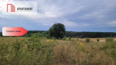 Tylko u nas! Świetna lokalizacja, cisza! - 5