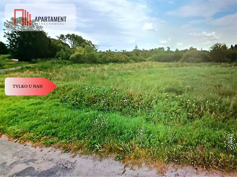 DZIAŁKA ROLNA 1,93ha LUDWIKOWO CISZA SPOKÓJ - dd_18eeaa1f_zs_280854_1.jpg