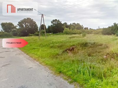 DZIAŁKA ROLNA 1,93ha LUDWIKOWO CISZA SPOKÓJ - 3