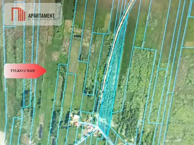 DZIAŁKA ROLNA 1,93ha LUDWIKOWO CISZA SPOKÓJ - 2