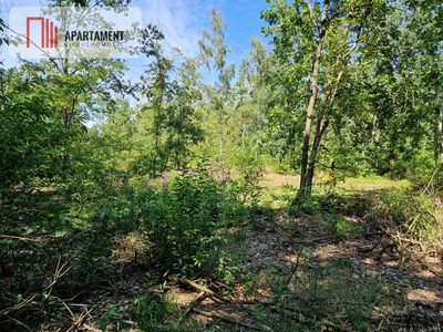 Działki w lesie blisko jeziora i plaży - 3