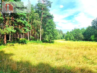 Działka z linią brzegową w Borach Tucholskich - 2
