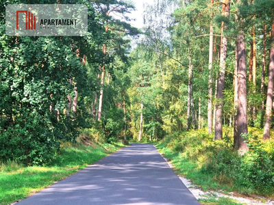 Działka z linią brzegową w Borach Tucholskich - 4