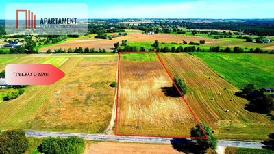 ZŁAWIEŚ MAŁA 1002m2 CISZA SPOKÓJ SUPER LOKALIZACJA - 2