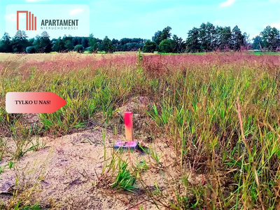 ZŁAWIEŚ MAŁA 1002m2 CISZA SPOKÓJ SUPER LOKALIZACJA - 5