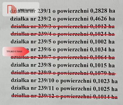 ZŁAWIEŚ MAŁA 1002m2 CISZA SPOKÓJ SUPER LOKALIZACJA - 3