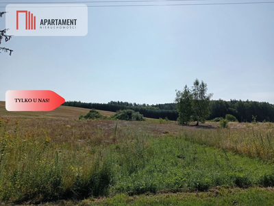 Sprzedam działki budowlane w Mieliczkach - 2