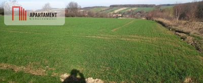 Działka pod inwestycję /Rolna/Cicha okolica - 2