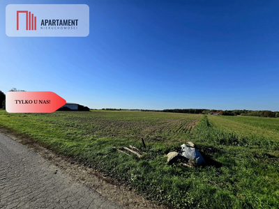 *Działka z warunkami zabudowy Dąbrówka Słupska - 5