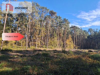 Dom na wsi do remontu z 5,5 ha ziemi. - 3