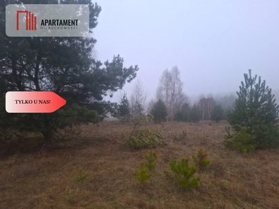 TYLKO U NAS !!! WSERCU BORÓW TUCHOLSKICH - 2