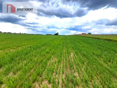 Duże działki do podziału lub inwestycji !!! - 3