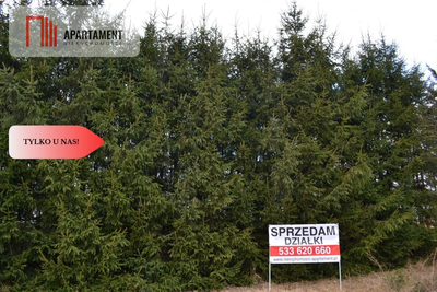 Tylko u nas!!Działki w górach z warunkami zabudowy - 3