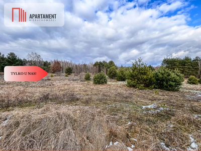 Tylko u nas! Działka 3229m² Krąplewice przy lesie - 5