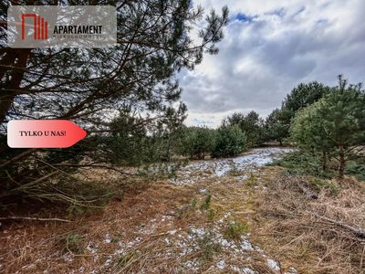 Tylko u nas! Działka 3229m² Krąplewice przy lesie - 2