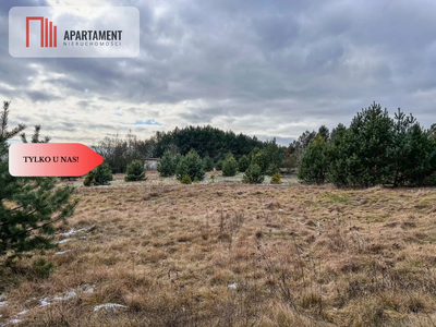 Tylko u nas! Działka 3229m² Krąplewice przy lesie - 4