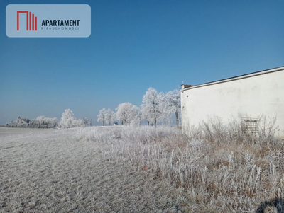 Ciekawa nieruchomość do adaptacji/ dom - 2