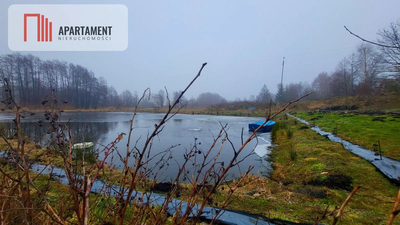 Duża działka z zarybionym stawem. Niska Cena - 3