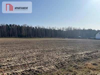 Działka budowlana w Ojrzanowie - 5
