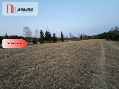 Spokojna okolica, blisko lasu! - 2
