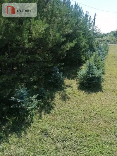 Budowlana z pozwoleniem na budowę! Promocja - 4