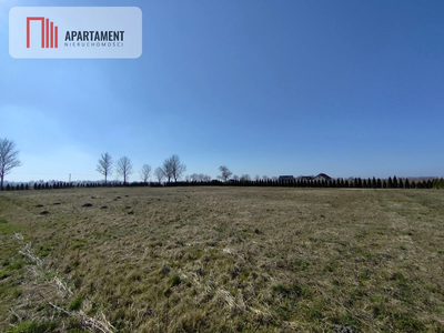 Działka z dużym potencjałem! Warunki zabudowy!