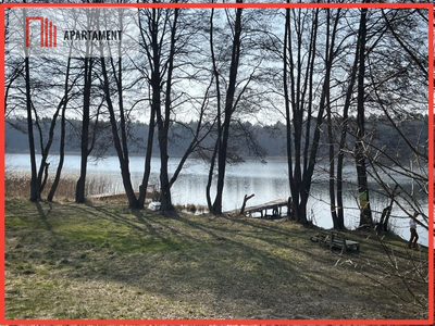 Dołgie, jezioro, las, media ,DZIAŁKI