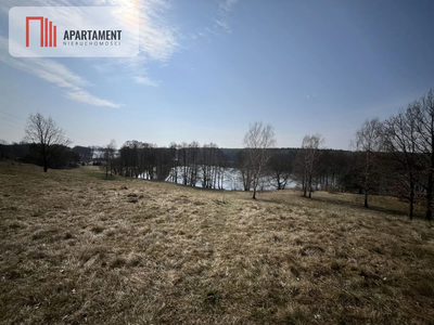 Dołgie, jezioro, las, media ,DZIAŁKI - 4