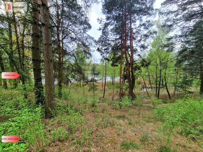 Działki z linią brzegową jeziora pod Toruniem - 3