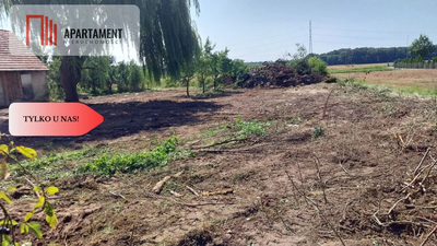 Dom do  remontu na działce 18a blisko lasu! - 3