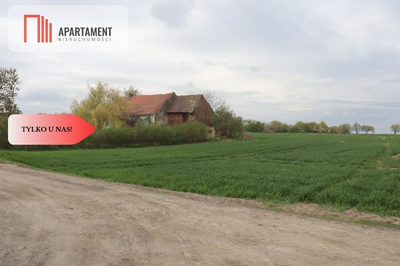 Duża działka 1,15 ha z zabudowaniami - 3