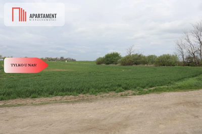 Duża działka 1,15 ha z zabudowaniami - 2