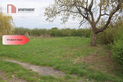 Duża działka 1,15 ha z zabudowaniami - 5