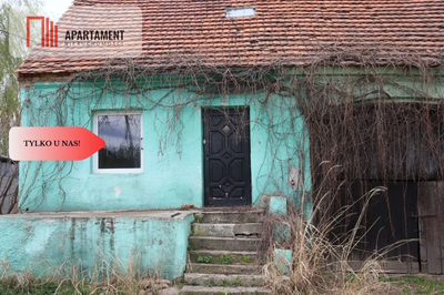 Duża działka 1,15 ha z zabudowaniami - 4