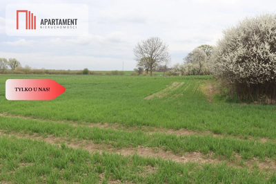 Działka rolna 0,95 ha/Wilków Średzki/Dobry dojazd - 3