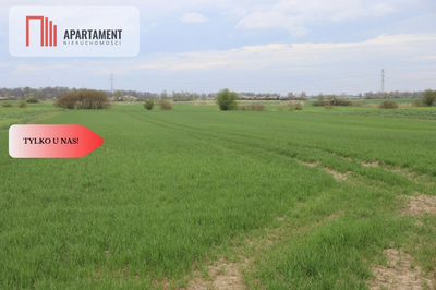 Działka rolna 0,95 ha/Wilków Średzki/Dobry dojazd - 2