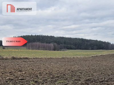 Tylko u nas - działka rolna! - 4