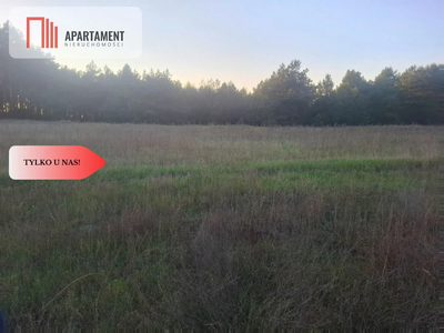 TYLKO U NAS !!! ATRAKCYJNA DZIALKA WSRÓD LASU - 3