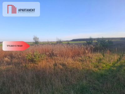 TYLKO U NAS !!! ATRAKCYJNA DZIALKA WSRÓD LASU - 5